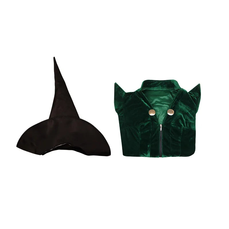 Cosplay Voldemort Robe Albus Dumbledore Snape Professor McGonagall Furong Costume Halloween School of Witchcraft and Wizardry