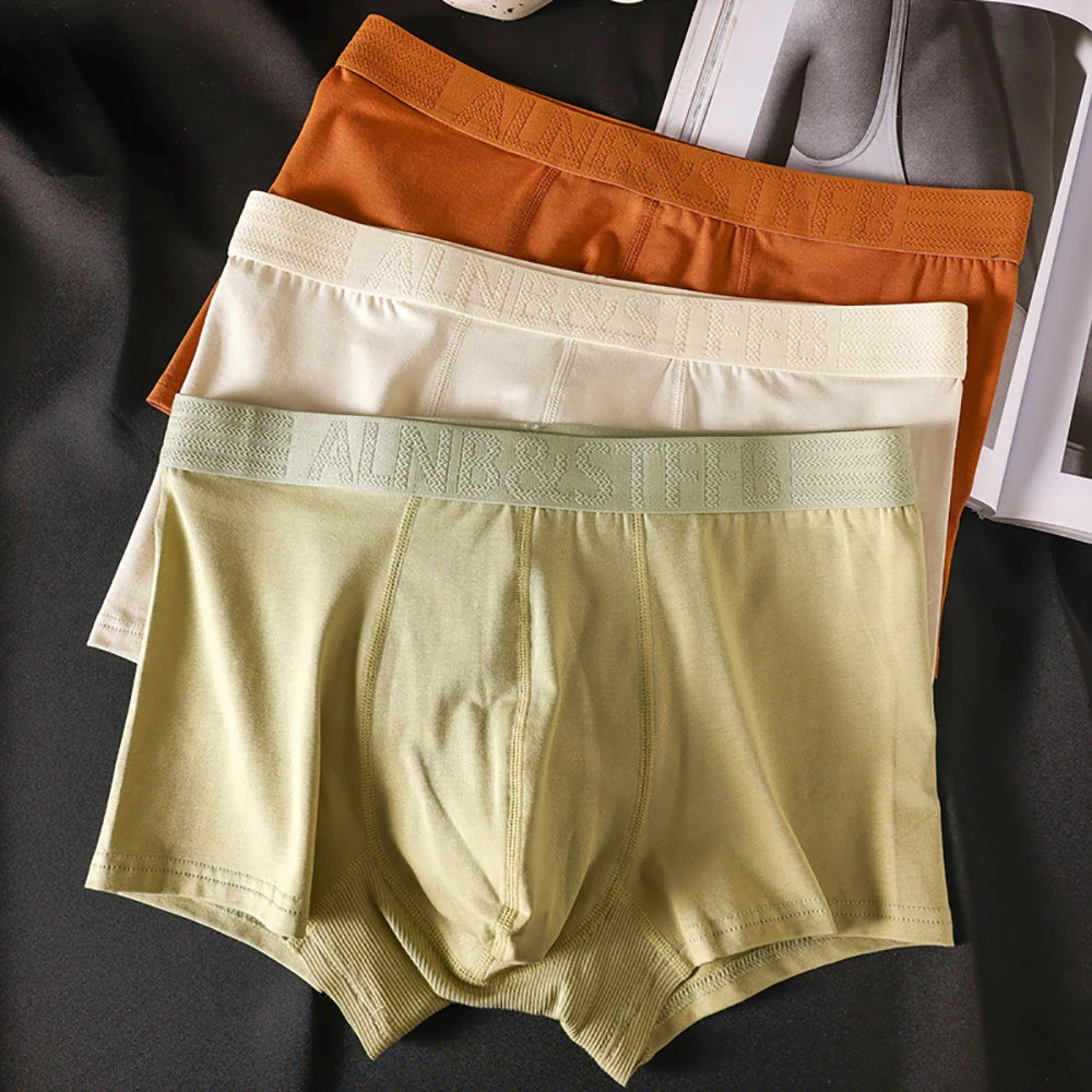 3PCS/Pack 100% Cotton Antibacterial Boxers Hombre Double-layer Breathable Hygroscopic U Pouch Underwear Fashion Men's Panties